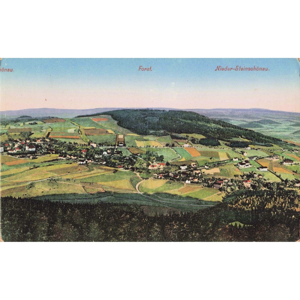 Nieder-Steinschönau Forst Bohemia Czech Panoramic View Vtg Postcard c1912